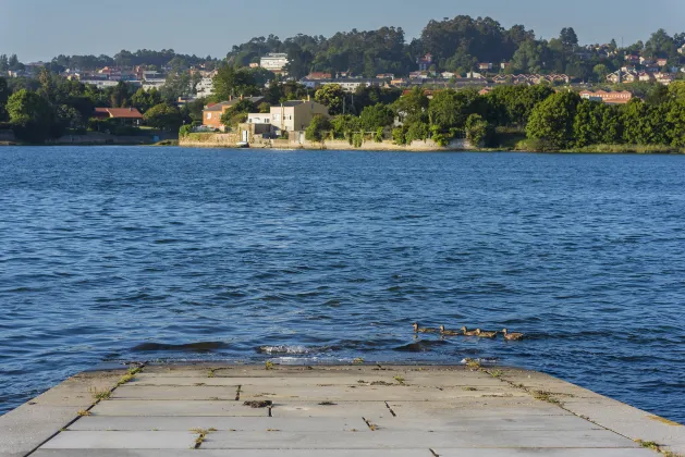 Отзывы об отеле Lions Gate Homestay