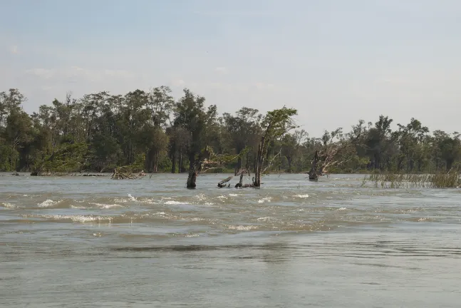 Отели рядом с достопримечательностью «Udawalawa Elephant Orphanage»