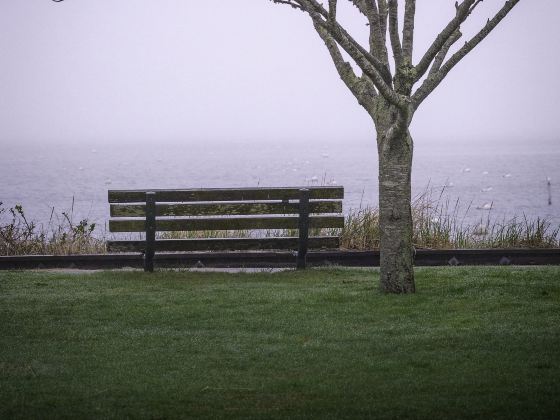 Beiguan Tidal Park