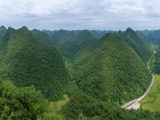 Maolan Karst Forest Reserve