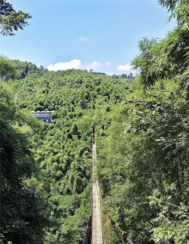 Bamboo Canyon Scenic Area (Jinji Valley)