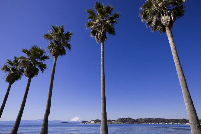 Отели рядом с достопримечательностью «Tateishi Park»