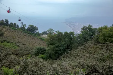 Ordu