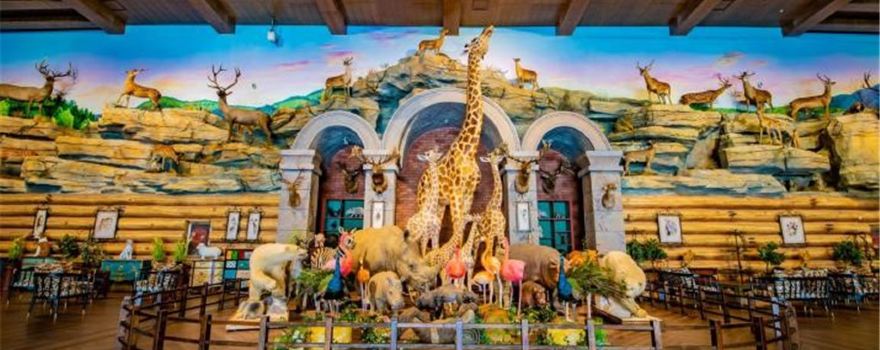 Europark Resort