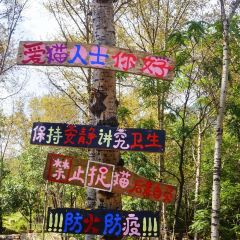 隐居画乡餐厅 User Photo