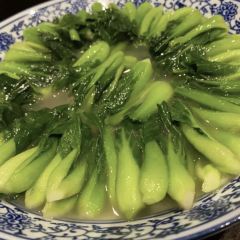 龍井草堂張用戶圖片