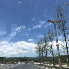 桃园坝农家乐·翘壳鱼·烤全羊·柴火鸡团建·家庭聚餐 User Photo