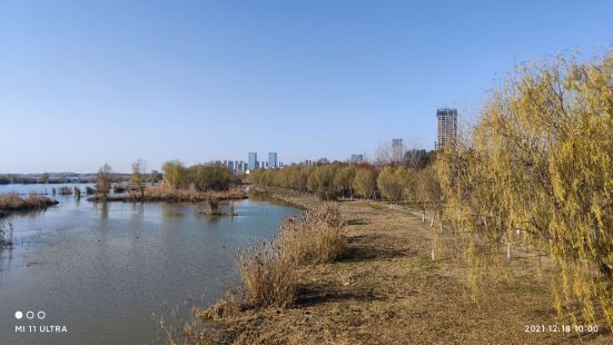 環巢湖景區靠近渡江戰役紀念館附近的一段，柳浪聞鶯。趁着還沒降