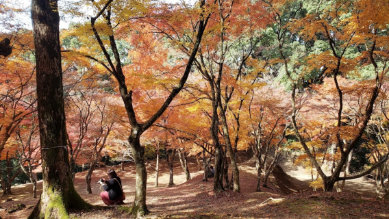 麓城跡