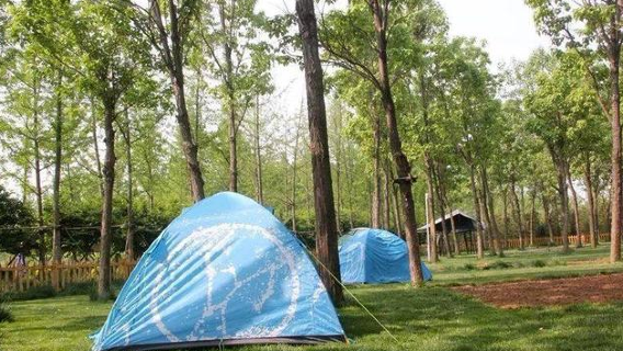 Orion Starry Sky Campground