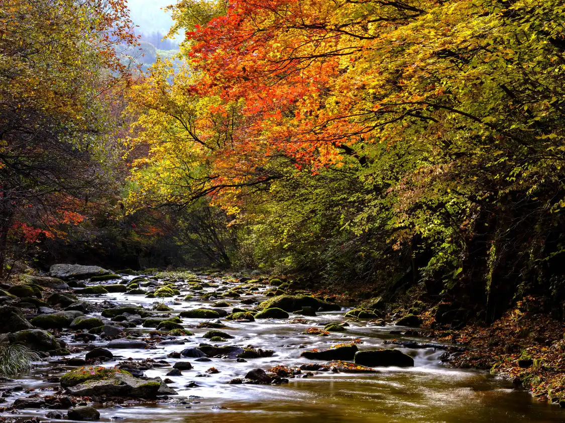 Hotels near Benxi Tanggou Scenic Resort