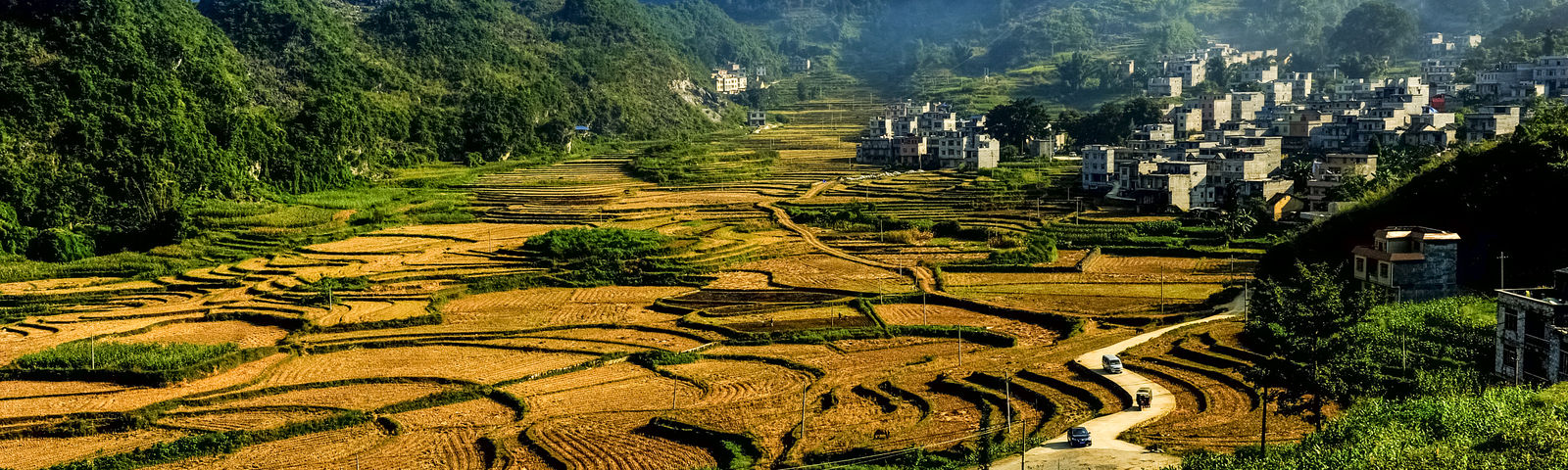 travel