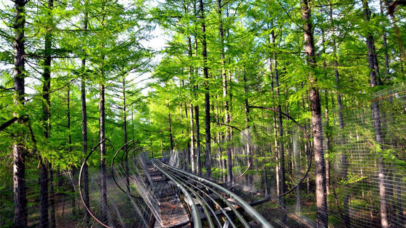 Jingyue Cable Car Slide Station