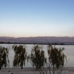 櫻花屋音樂餐吧張用戶圖片