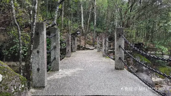 括蒼古道