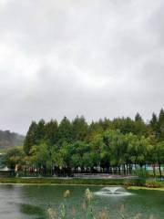 타이핑 산 공원