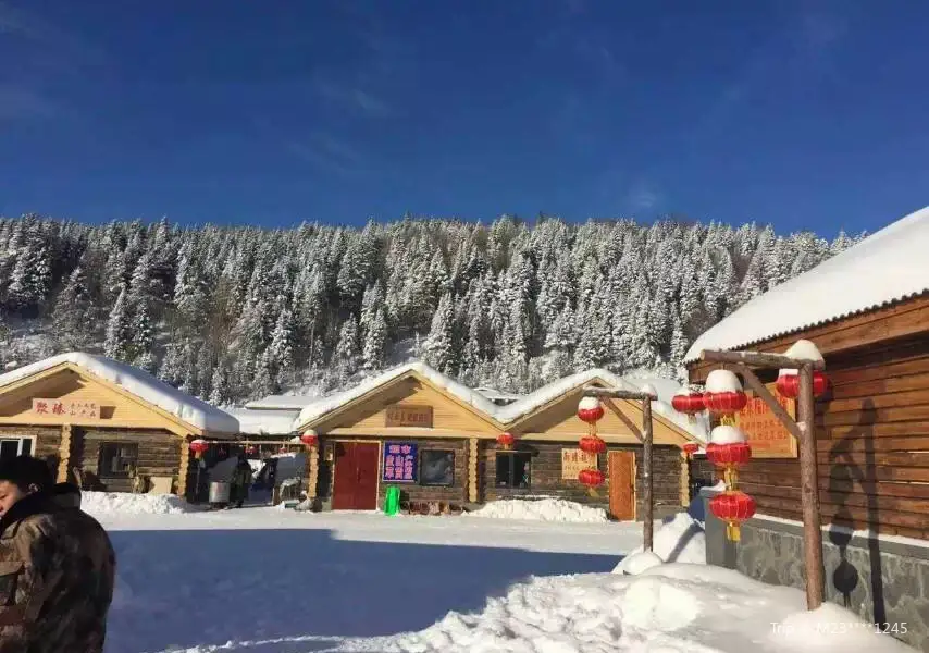 黑龍江雪鄉雙峯林場