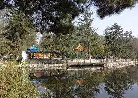 新屯公園