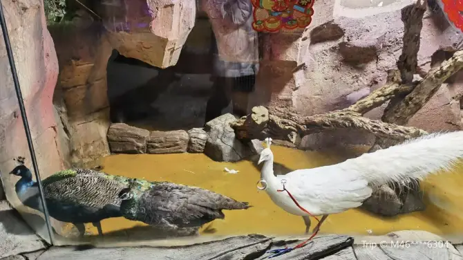 3_富地海洋樂園
