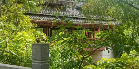 巴鈴綠陰河濕池公園
