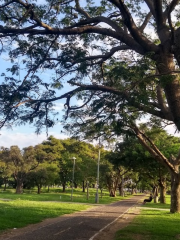 Parque Federal