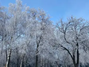 парк имени Богдана Хмельницкого