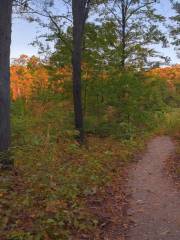 Glacial Hills Pathway and Natural Area Trailhead