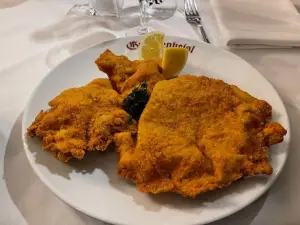 Top 18 Light Bites in Vienna