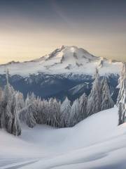 Mt. Baker Ski Area