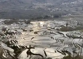 Honghe Hani Terrace National Wetland Park