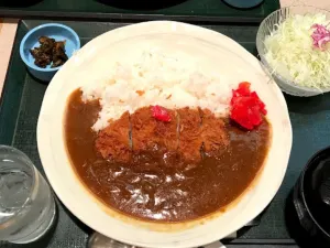 Tonkatsu Inaba Wako Narita Airport