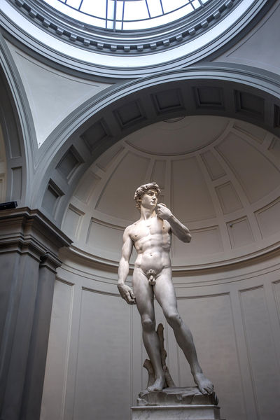 David