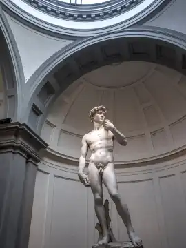 David