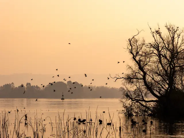 Bird Watching in Xichang