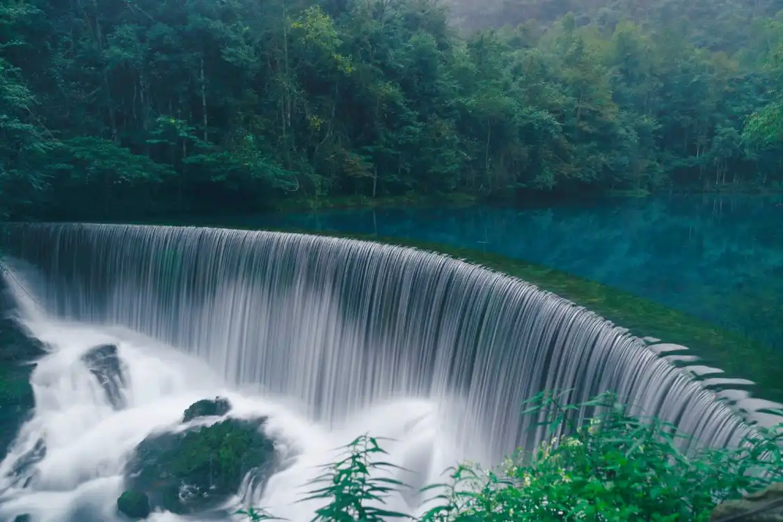 Hotels near Wolong Pond