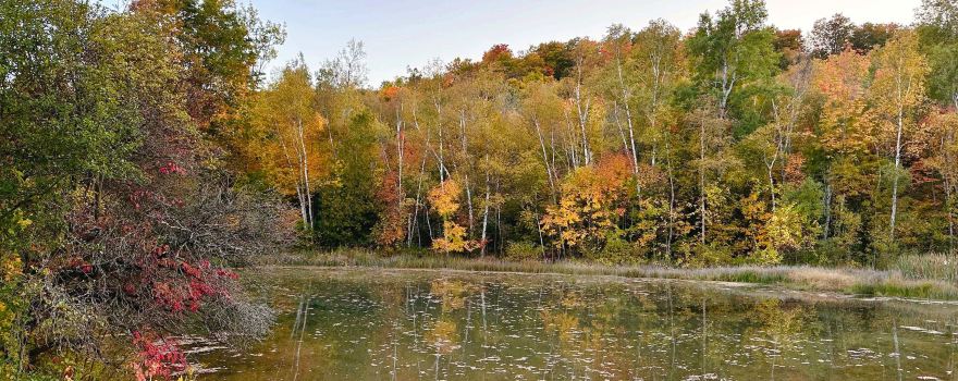 Mono Cliffs Provincial Park (Reservation Required)