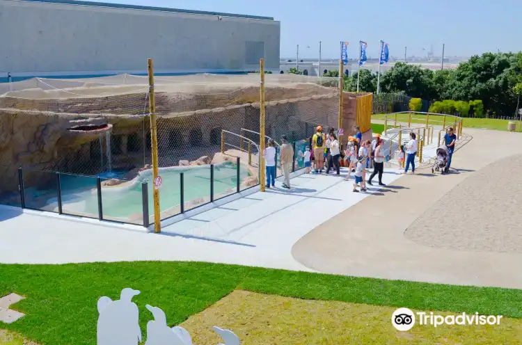 Hotels near SEA LIFE Centre Porto