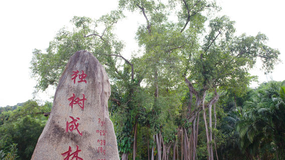 Menghai