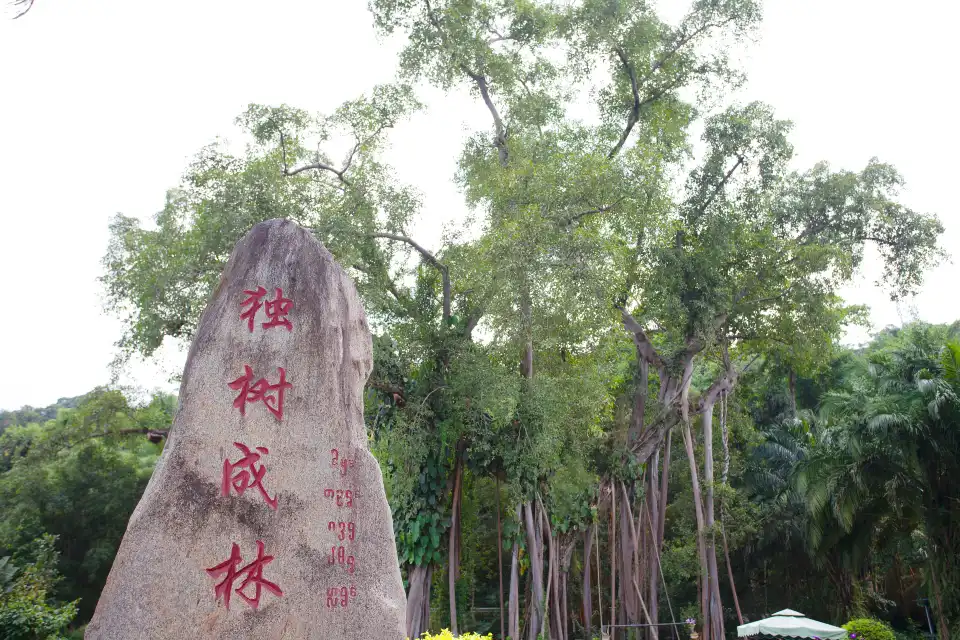 5_One-Tree Forest
