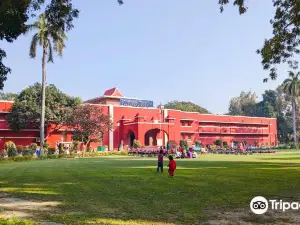 Allahabad Museum