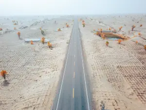 Desert Highway (Ahe Highway)