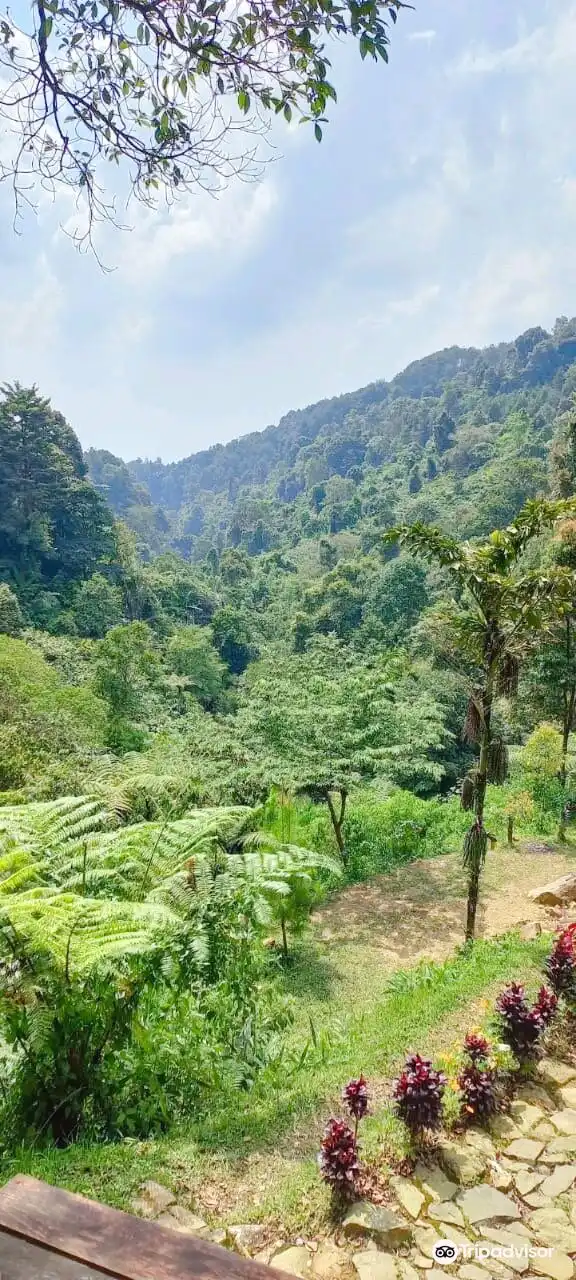 Hotel dekat Curug Cibulao