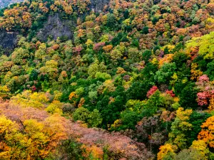 Zhuque National Forest Park