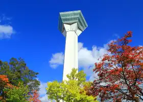 Goryōkaku Tower