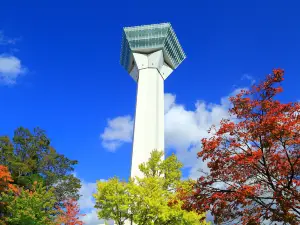 Goryōkaku Tower