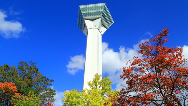 Goryōkaku Tower