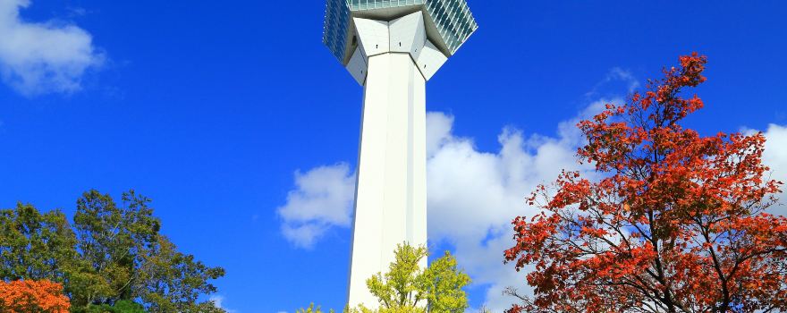 Goryōkaku Tower