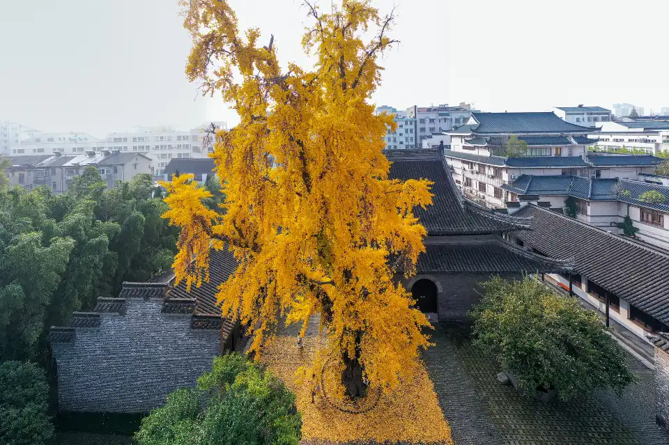 5_Yangzhou Eight Eccentrics Memorial Hall