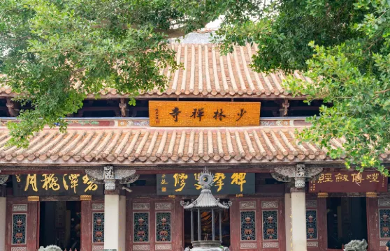 泉州少林寺武術展示票成人