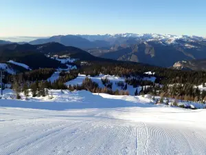 Sciovie Verena 2000